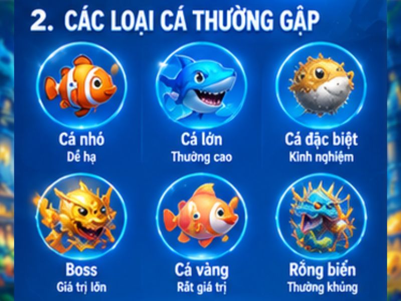 Các loại cá thường gặp
